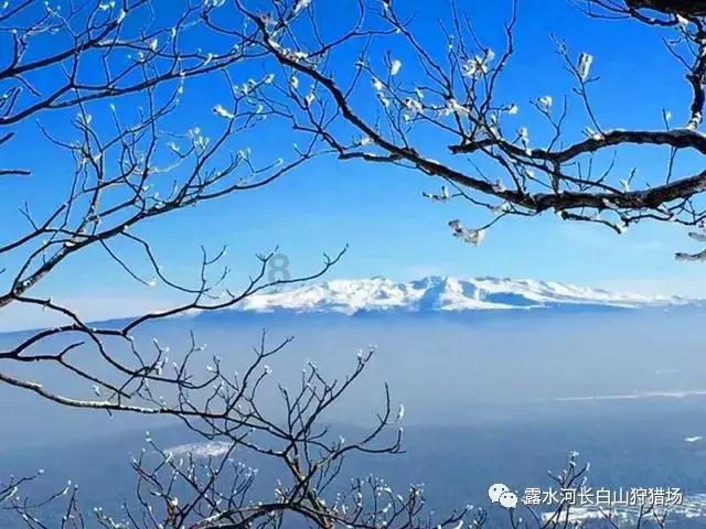 营救迷路的小男孩